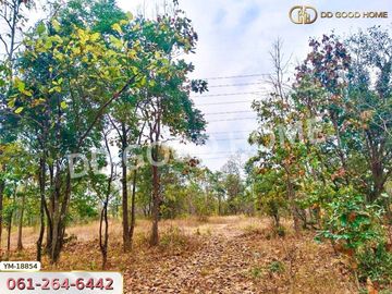 📢Land for sale Mueang Lampang District, 13 rai 374 sq w Lampang.