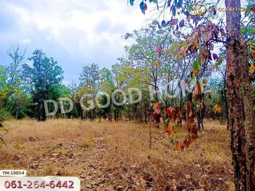 📢Land for sale Mueang Lampang District, 13 rai 374 sq w Lampang.