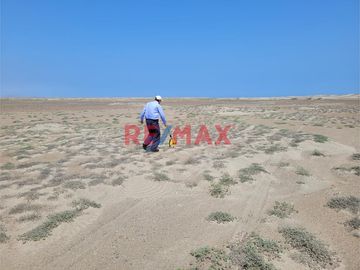 Ocasión Se Venden 20 Hectáreas La Arenita En Chicama Km 651 ID 1085809