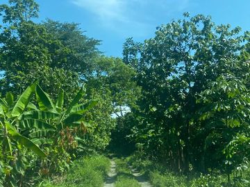Finca de Venta - SECTOR LA LUCHA EN LOS RIOS