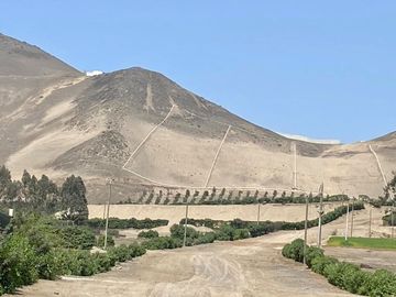 TERRENO EN VENTA EN CONDOMINIO FINCA MARIA, PACHACAMAC