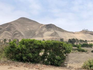 TERRENO EN VENTA EN CONDOMINIO FINCA MARIA, PACHACAMAC