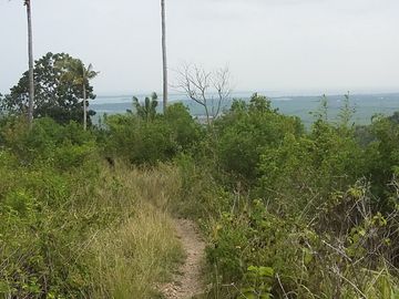 OCEAN VIEW LOT FOR SALE IN SAN CARLOS CITY ID 14808