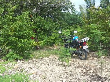 OCEAN VIEW LOT FOR SALE IN SAN CARLOS CITY ID 14808
