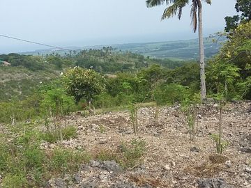 OCEAN VIEW LOT FOR SALE IN SAN CARLOS CITY ID 14808