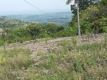 OCEAN VIEW LOT FOR SALE IN SAN CARLOS CITY ID 14808