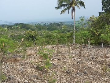 OCEAN VIEW LOT FOR SALE IN SAN CARLOS CITY ID 14808