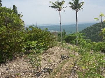 OCEAN VIEW LOT FOR SALE IN SAN CARLOS CITY ID 14808
