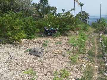 OCEAN VIEW LOT FOR SALE IN SAN CARLOS CITY ID 14808