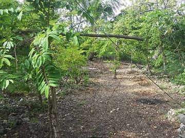 OCEAN VIEW LOT FOR SALE IN SAN CARLOS CITY ID 14808