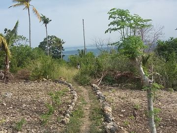 OCEAN VIEW LOT FOR SALE IN SAN CARLOS CITY ID 14808