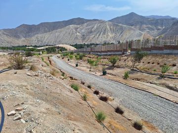 Venta De Lotes En Coayllo La Sierra De Asia Desde 80$ M2