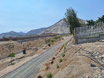 Venta De Lotes En Coayllo La Sierra De Asia Desde 80$ M2