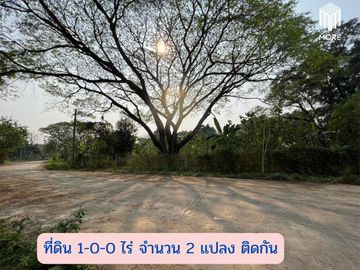 MORE-123LS Land for sale in Soi Wat Don Kaew, 1 rai (400 sq.wah = 1,600 sq.m.), Don Kaeo Subdistrict, Mae Rim District, Chiang Mai.