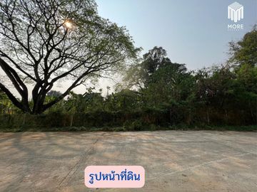 MORE-123LS Land for sale in Soi Wat Don Kaew, 1 rai (400 sq.wah = 1,600 sq.m.), Don Kaeo Subdistrict, Mae Rim District, Chiang Mai.