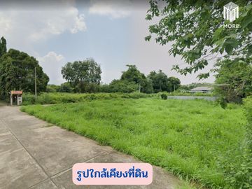 MORE-123LS Land for sale in Soi Wat Don Kaew, 1 rai (400 sq.wah = 1,600 sq.m.), Don Kaeo Subdistrict, Mae Rim District, Chiang Mai.