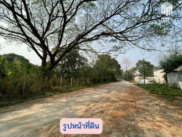 MORE-123LS Land for sale in Soi Wat Don Kaew, 1 rai (400 sq.wah = 1,600 sq.m.), Don Kaeo Subdistrict, Mae Rim District, Chiang Mai.