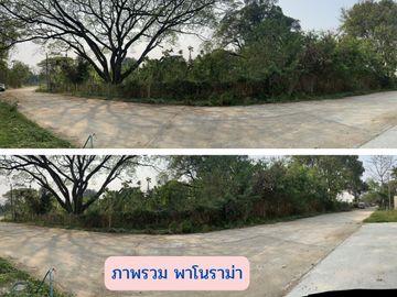 MORE-123LS Land for sale in Soi Wat Don Kaew, 1 rai (400 sq.wah = 1,600 sq.m.), Don Kaeo Subdistrict, Mae Rim District, Chiang Mai.