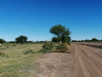 SE VENDEN 4 TERRENOS RUSTICOS