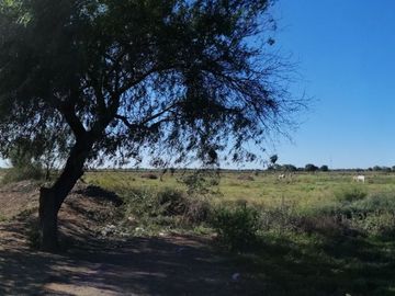 SE VENDEN 4 TERRENOS RUSTICOS