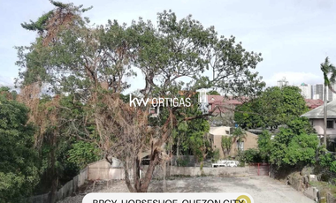 1,989 sqm Vacant Lot for sale in Brgy. Horseshoe Quezon City
