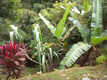 VENDO CASA FINCA CON 7 CASAS POR 275 MILLONES EN BARBOSA ANTIOQUIA.