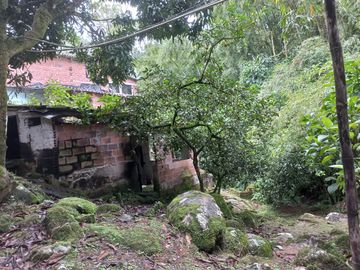 VENDO CASA FINCA CON 7 CASAS POR 275 MILLONES EN BARBOSA ANTIOQUIA.