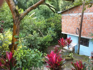 VENDO CASA FINCA CON 7 CASAS POR 275 MILLONES EN BARBOSA ANTIOQUIA.