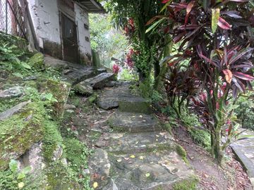 VENDO CASA FINCA CON 7 CASAS POR 275 MILLONES EN BARBOSA ANTIOQUIA.