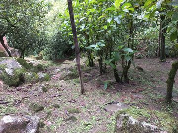 VENDO CASA FINCA CON 7 CASAS POR 275 MILLONES EN BARBOSA ANTIOQUIA.