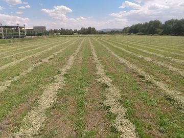 OPORTUNIDAD LUGAR DE EVENTOS CON VIÑEDO EN ZONA CAMPESTRE CERCA AL RIO LAJA EN UNA ZONA CON BASTANTE AGUA EN SAN MIGUEL DE ALLENDE,GTO
