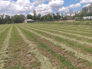 OPORTUNIDAD LUGAR DE EVENTOS CON VIÑEDO EN ZONA CAMPESTRE CERCA AL RIO LAJA EN UNA ZONA CON BASTANTE AGUA EN SAN MIGUEL DE ALLENDE,GTO