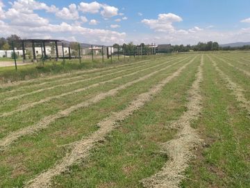 OPORTUNIDAD LUGAR DE EVENTOS CON VIÑEDO EN ZONA CAMPESTRE CERCA AL RIO LAJA EN UNA ZONA CON BASTANTE AGUA EN SAN MIGUEL DE ALLENDE,GTO