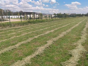 OPORTUNIDAD LUGAR DE EVENTOS CON VIÑEDO EN ZONA CAMPESTRE CERCA AL RIO LAJA EN UNA ZONA CON BASTANTE AGUA EN SAN MIGUEL DE ALLENDE,GTO