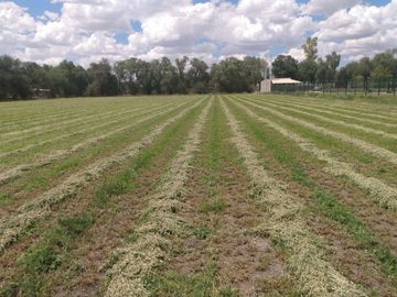 OPORTUNIDAD LUGAR DE EVENTOS CON VIÑEDO EN ZONA CAMPESTRE CERCA AL RIO LAJA EN UNA ZONA CON BASTANTE AGUA EN SAN MIGUEL DE ALLENDE,GTO