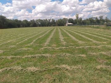 OPORTUNIDAD LUGAR DE EVENTOS CON VIÑEDO EN ZONA CAMPESTRE CERCA AL RIO LAJA EN UNA ZONA CON BASTANTE AGUA EN SAN MIGUEL DE ALLENDE,GTO