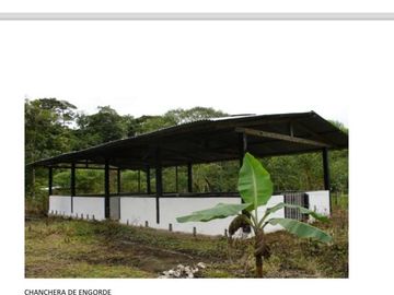 Hacienda de 200 hectáreas
