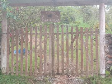 Hacienda de 200 hectáreas