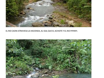 Hacienda de 200 hectáreas