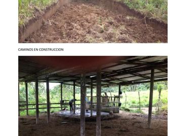 Hacienda de 200 hectáreas