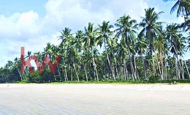 Rush Sale! Long Beach w/ White sand in San Vicente, Palawan
