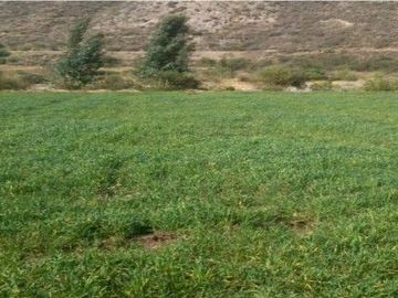 Terreno en Ollantaytambo, Cusco, 2000 m2 en Vilcanota,