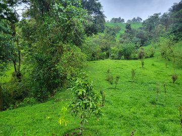 Hermosa finca de 10 Has en Nanegalito con casa de 200 m2 y río cristalino.