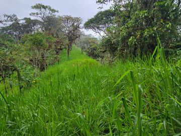 Hermosa finca de 10 Has en Nanegalito con casa de 200 m2 y río cristalino.