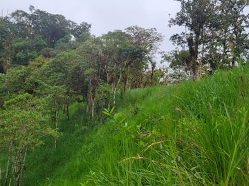 Hermosa finca de 10 Has en Nanegalito con casa de 200 m2 y río cristalino.