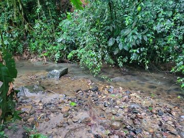 Hermosa finca de 10 Has en Nanegalito con casa de 200 m2 y río cristalino.