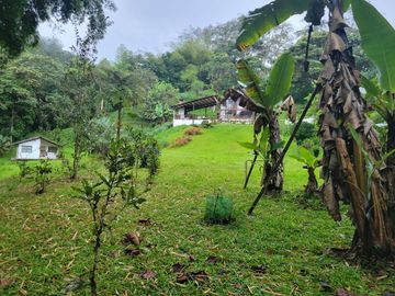 Hermosa finca de 10 Has en Nanegalito con casa de 200 m2 y río cristalino.