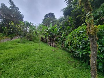Hermosa finca de 10 Has en Nanegalito con casa de 200 m2 y río cristalino.