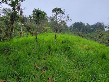 Hermosa finca de 10 Has en Nanegalito con casa de 200 m2 y río cristalino.