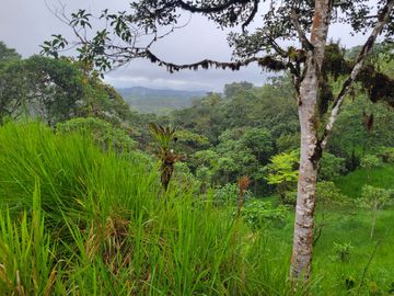 Hermosa finca de 10 Has en Nanegalito con casa de 200 m2 y río cristalino.